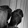 Абстракт, алтернативна, Черно и бяло, минималистичен, геометричен, форма, линия, светлосенки, фотография