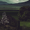 matte painting, collage, nature, colour, photography, experiment, stone wall, darkness, art, edited, conceptual, retouch, Bulgaria, Provadian highland, sword, Jesus Christ, trees, field, sheep