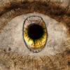 Experiment, conceptual, retouching, art, process, collage, darkness, fear, thriller, horror, sleep, unreal, relative, story, Psychology