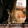Dead Love