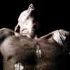 Experiment, conceptual, retouching, art, process, collage, darkness, fear, thriller, horror, sleep, unreal, relative, story, Psychology