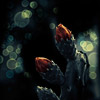 Experiment, conceptual, retouching, art, process, collage, darkness, fear, thriller, horror, sleep, unreal, relative, story, Psychology