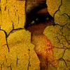 Experiment, conceptual, retouching, art, process, collage, darkness, fear, thriller, horror, sleep, unreal, relative, story, Psychology