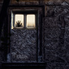 Experiment, conceptual, retouching, art, process, collage, darkness, fear, thriller, horror, sleep, unreal, relative, story, Psychology