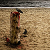 Experiment, conceptual, retouching, art, process, collage, darkness, fear, thriller, horror, sleep, unreal, relative, story, Psychology
