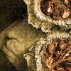 Experiment, conceptual, retouching, art, process, collage, darkness, fear, thriller, horror, sleep, unreal, relative, story, Psychology