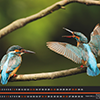 prepress, printing, offset printing. embossing, cold press, screen printing, pad printing, engraving, billboard, flyer, business card, business card, book cover, CD cover, DVD cover, label, poster, brochure, catalog, menu, luxury, luxurya